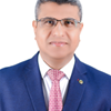 Mohamed A.M. Alsafy